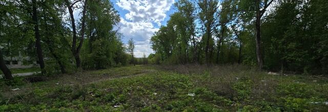 офис Центральный фото
