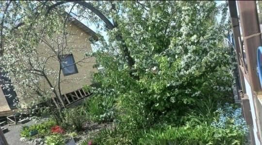 р-н Первомайский Речной вокзал снт Весна ул Садовая 105 фото
