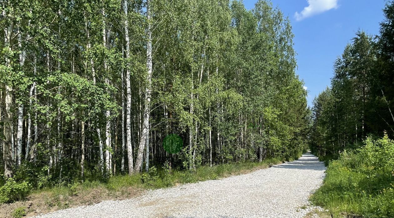 земля г Верхняя Пышма тер СТСН Трест Уралцветметразведка 2 фото 15