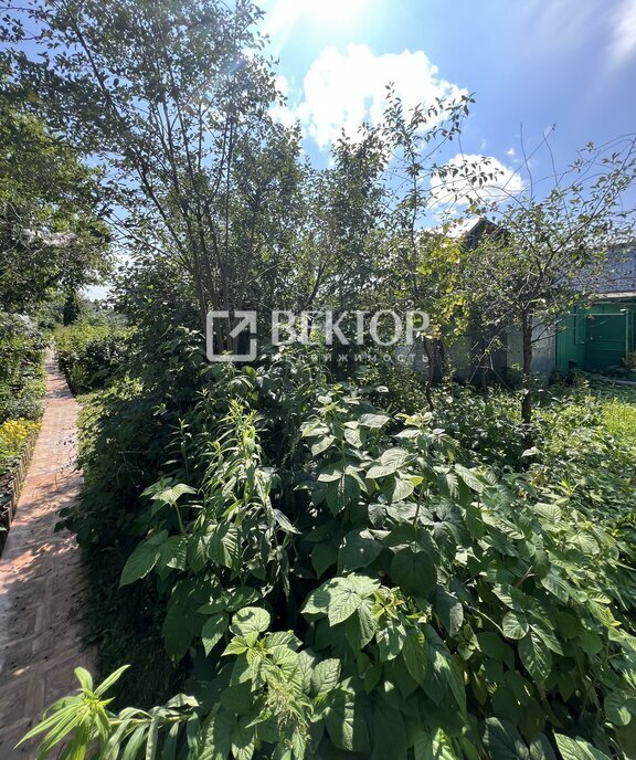 земля г Кострома снт Рассвет 17Б фото 11