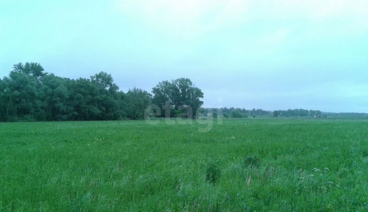 земля г Коломна 67 км, Воскресенск, Новорязанское шоссе фото 1