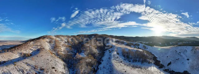 ул Алтайская 165/1 фото