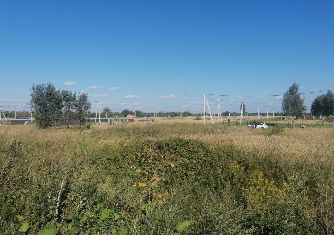 земля г Воскресенск снт Чайка 47 км, городской округ Воскресенск, Белоозёрский, Новорязанское шоссе фото 4
