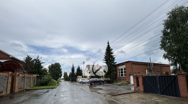 с Криводановка ул Дружбы 7 фото