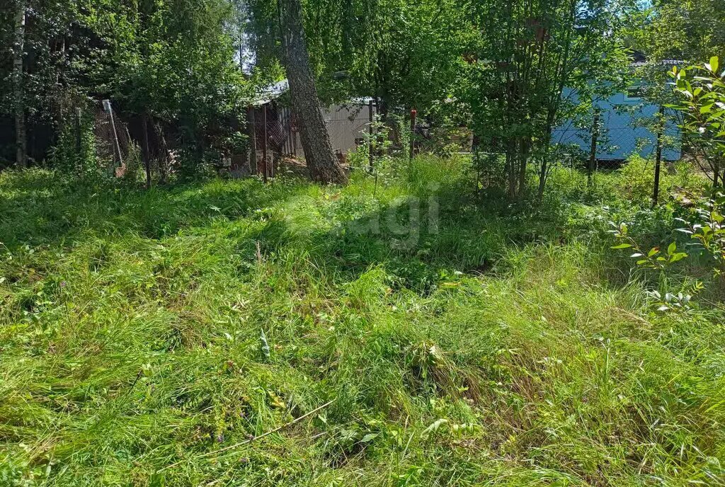 земля г Красногорск садовое товарищество Бор, 64, Аникеевка фото 4