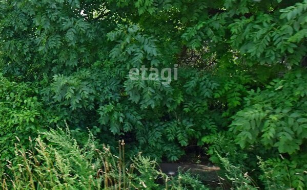 земля г Лобня Лобня фото 3