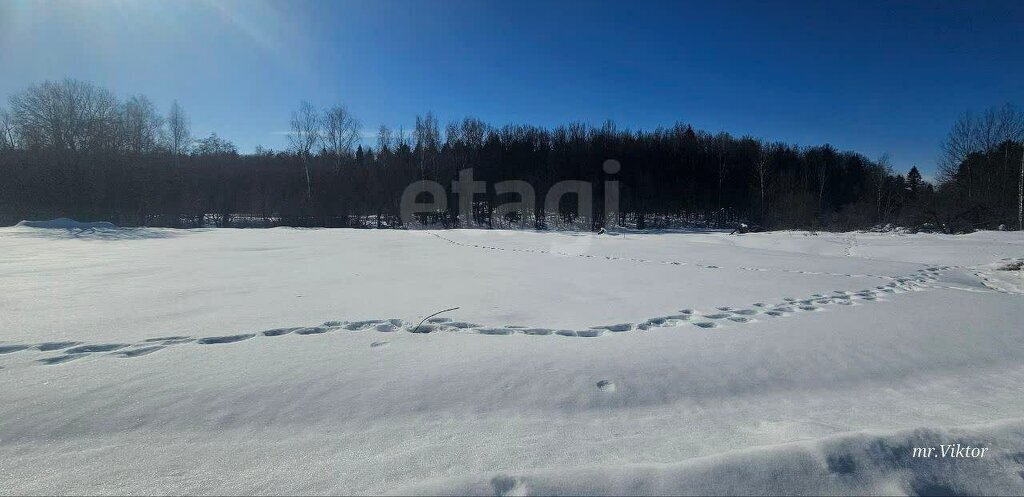 земля городской округ Истра г Дедовск п Дедовской школы-интерната Нахабино фото 10