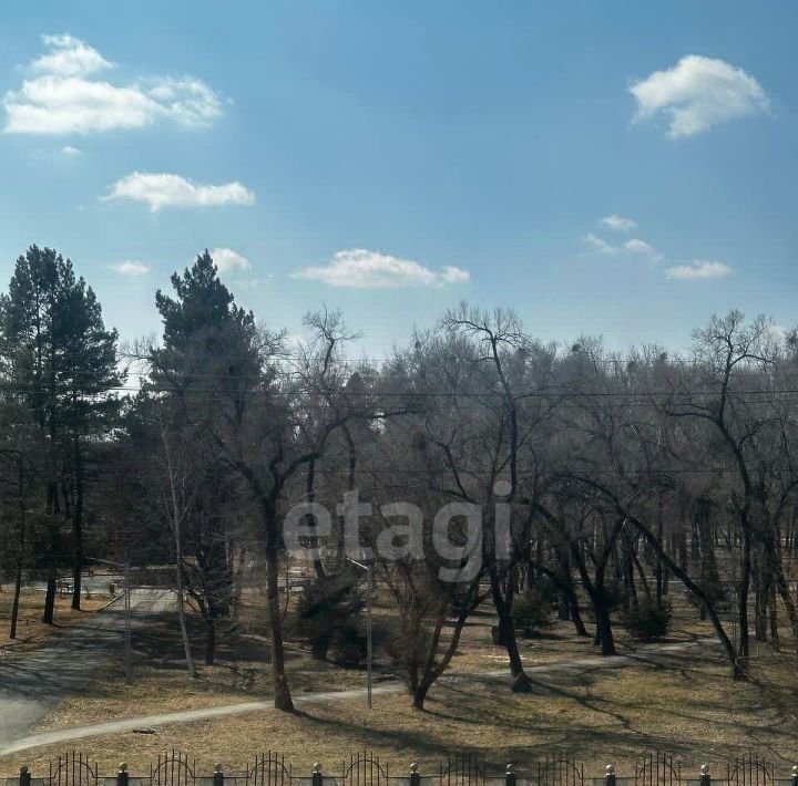 квартира г Арсеньев ул Жуковского 31 фото 8