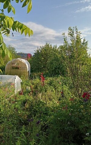 земля коллективный сад № 16 Уралочка, 260 фото
