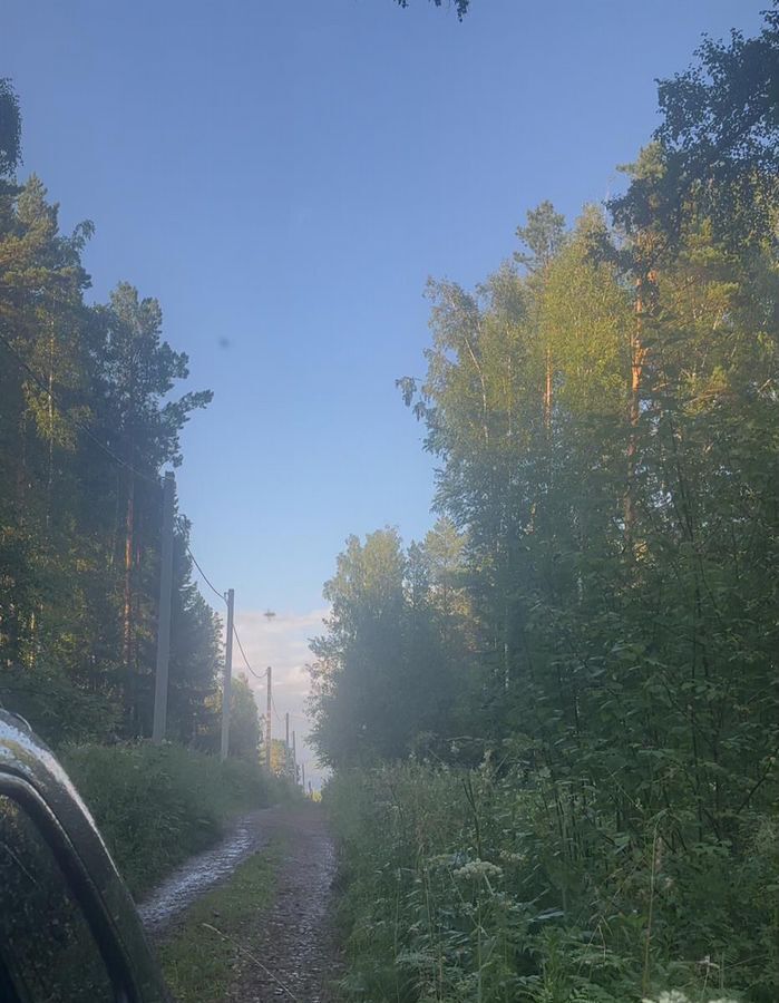 земля г Дивногорск территория Шумиха фото 2