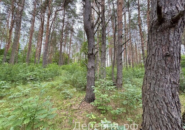 сельское поселение Угорское, Юхнов фото