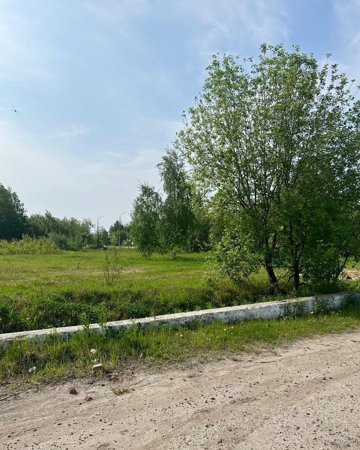 земля г Нижневартовск Старый Вартовск Тюменская обл. фото 3