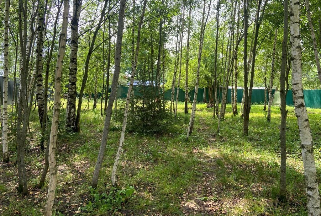 земля г Истра некоммерческое партнёрство землевладельцев Чаново-2, 18 фото 12