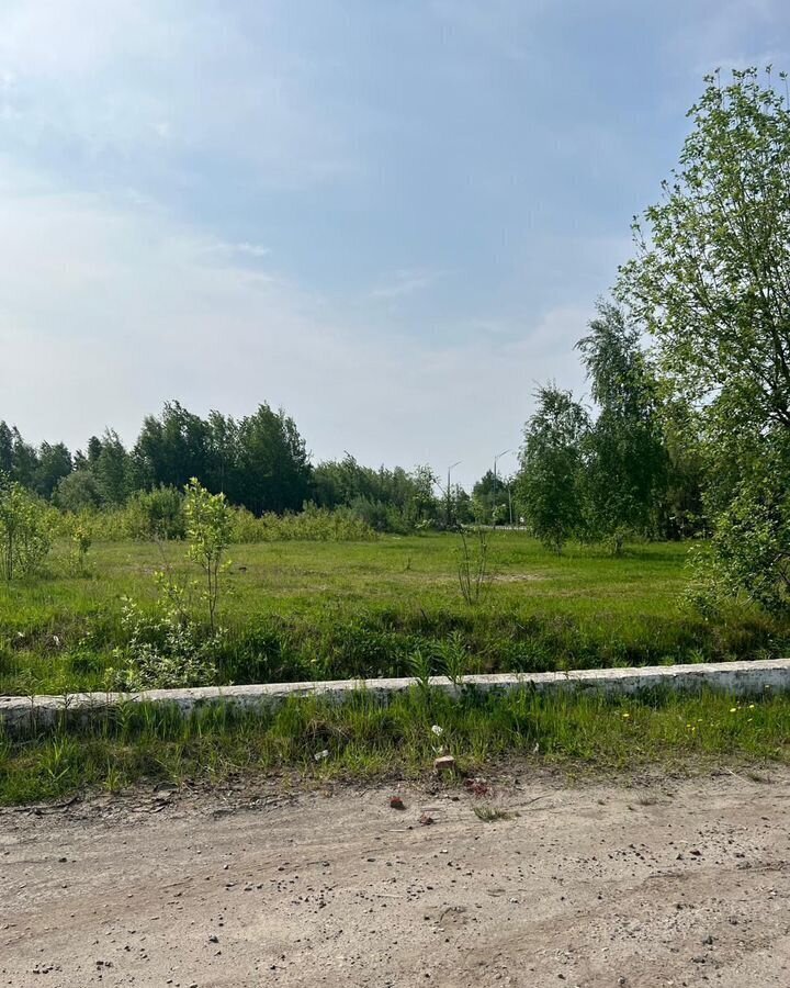 земля г Нижневартовск Старый Вартовск Тюменская обл. фото 5