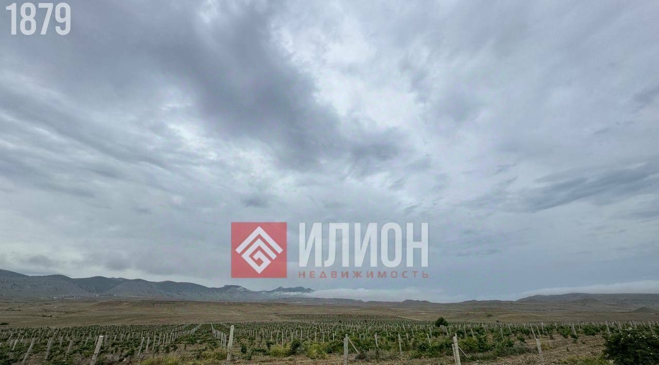 земля г Судак с Миндальное фото 5