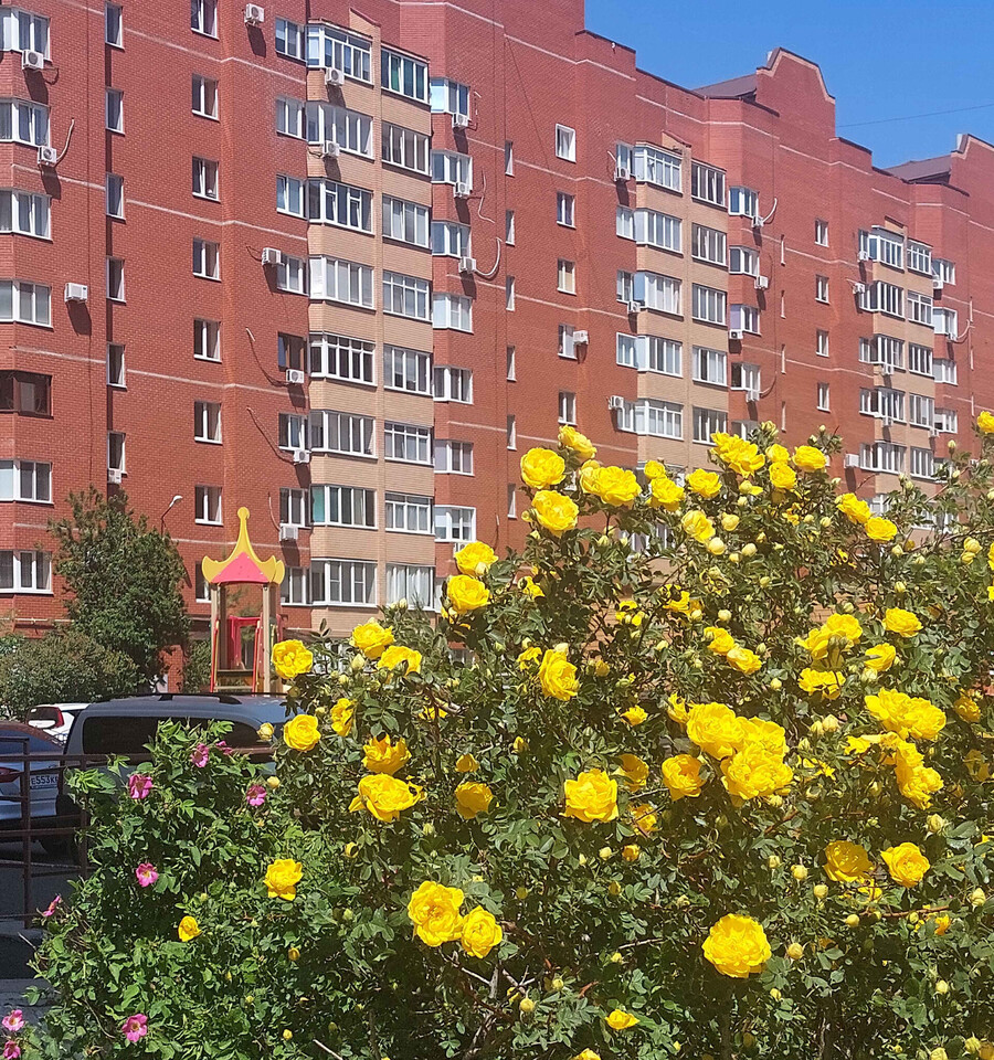 квартира г Оренбург 12-й м-н, Юных Ленинцев, 19 фото 19