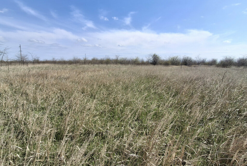 земля р-н Ейский г Ейск фото 5