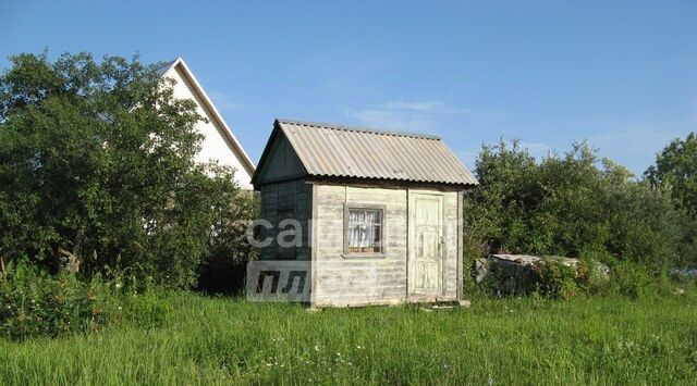 Подлипки снт Репинка-2 56 фото