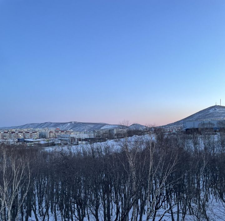 квартира г Петропавловск-Камчатский ул Виталия Кручины 6/4 фото 24