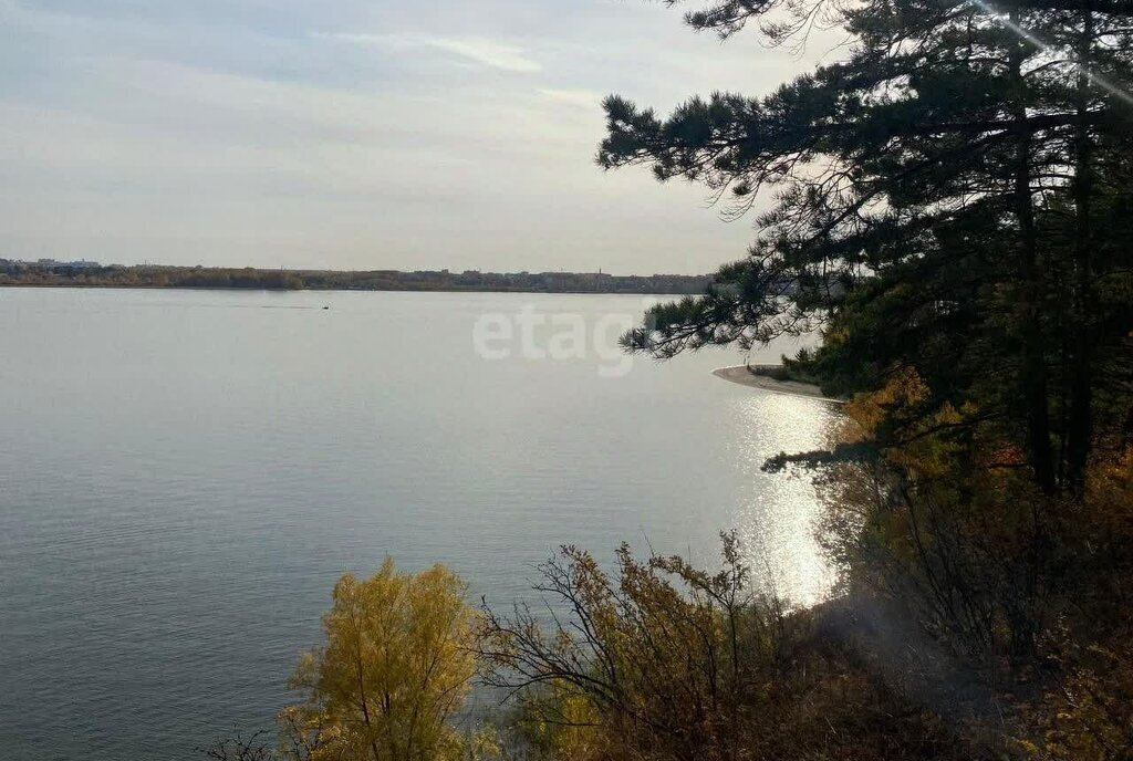 земля г Бердск ул Ягодная Речной Вокзал фото 4