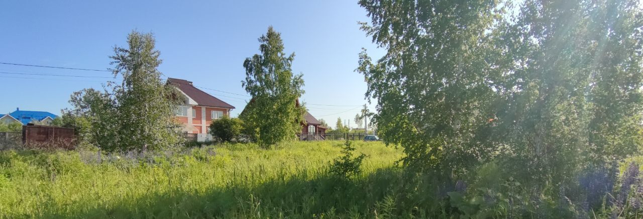земля г Бор ул Полевая 3а д. Борисовка фото 3