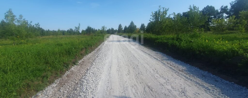 земля г Бердск жилой район «Раздольный» фото 3