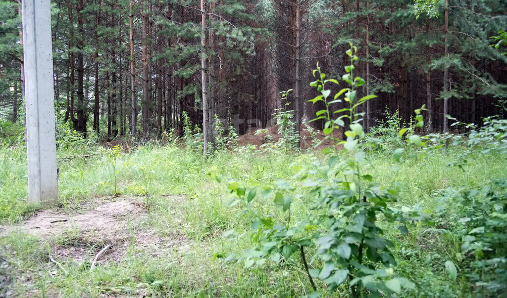 земля г Бердск жилой район «Раздольный» фото 7