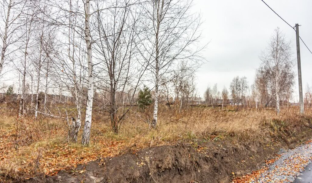 земля г Бердск жилой район «Раздольный» фото 14
