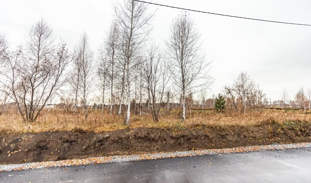 земля г Бердск жилой район «Раздольный» фото 16