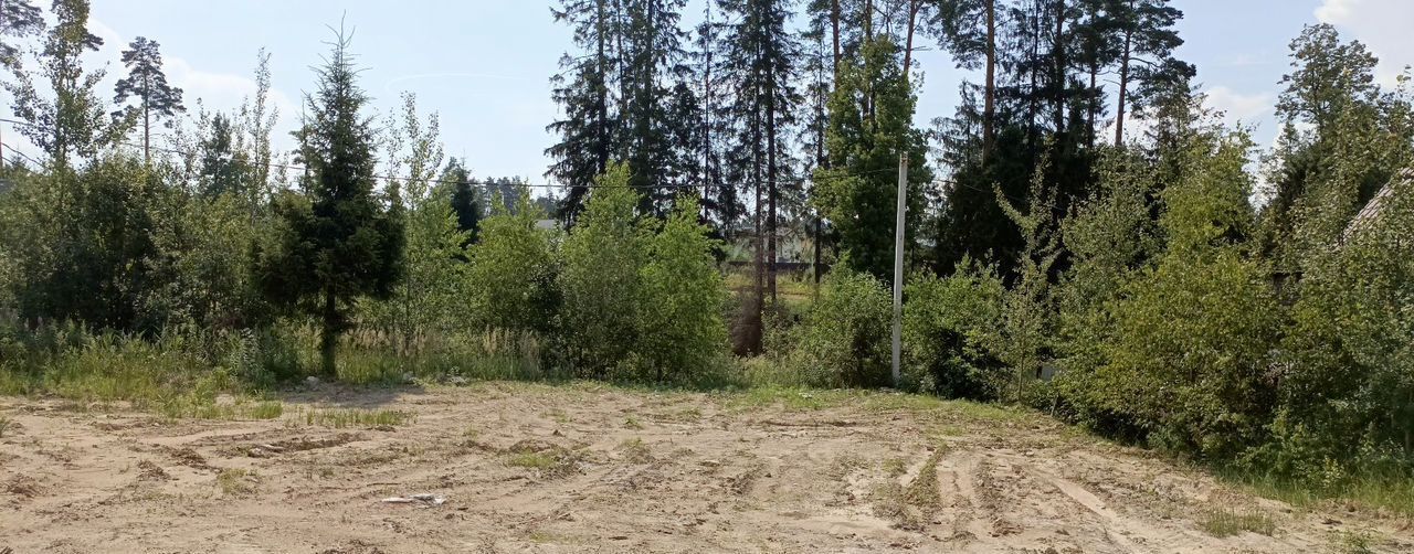 земля г Лосино-Петровский рп Свердловский 29 км, ДНТ Авиатор, Осенняя аллея, 7, Щёлковское шоссе фото 6