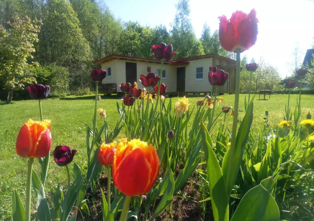 ул Новая 3 Московское шоссе, 65 км, Вырицкое городское поселение, Вырица фото