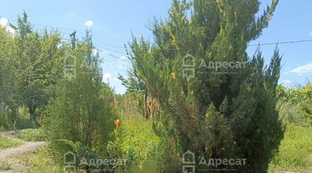снт Крит ул Малиновая фото