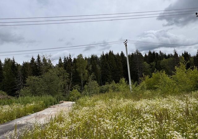 41 км, КП Вам Дом Пятница, Пятницкое шоссе фото