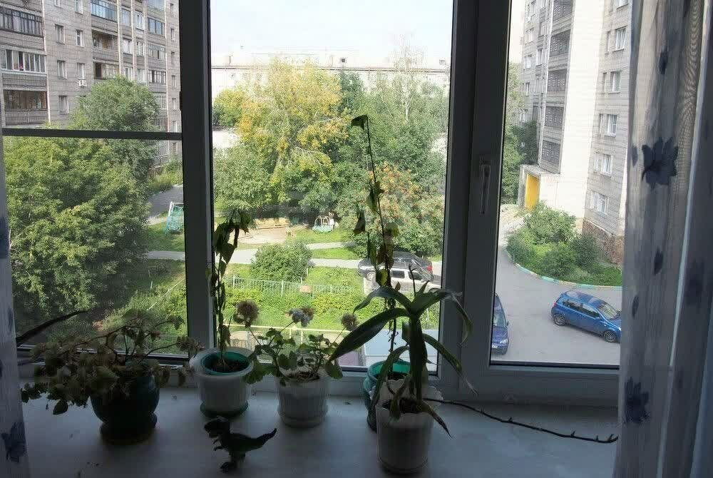 квартира г Новосибирск метро Площадь Гарина-Михайловского ул Дмитрия Шамшурина 6 фото 11