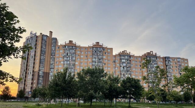дом 3 Улица Дыбенко, Заневское городское поселение фото