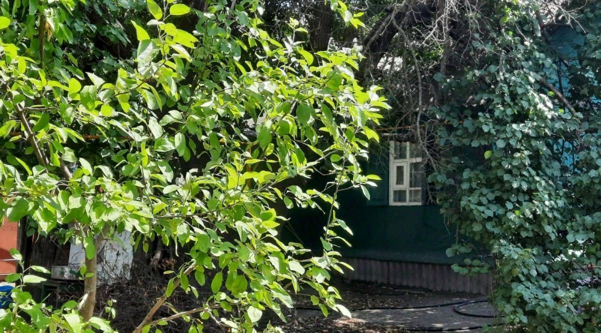 дом г Каменск-Шахтинский пер Садовый фото 16