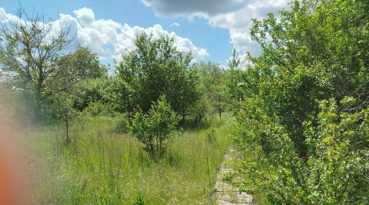 дом г Каменск-Шахтинский снт Изобильный ул Сливовая фото 11