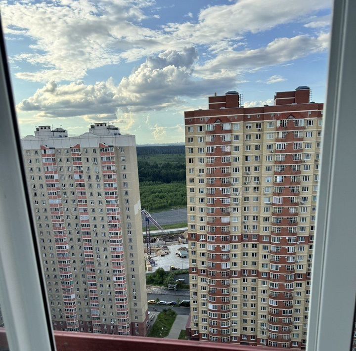 квартира г Балашиха ул Дмитриева 8 Алексеевская Роща фото 28