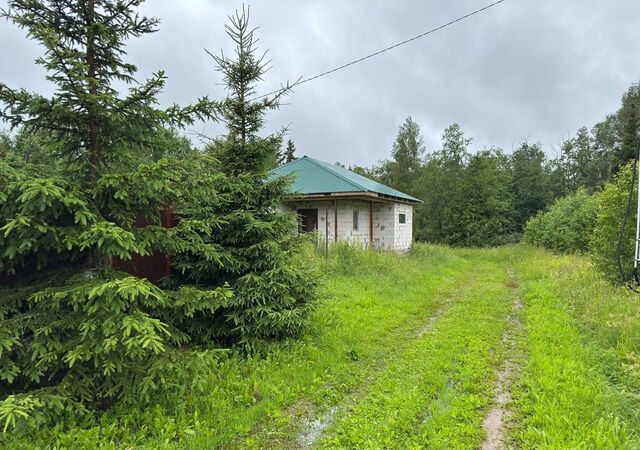 84 км, СНТ Моники, 94, Волоколамск, Новорижское шоссе фото