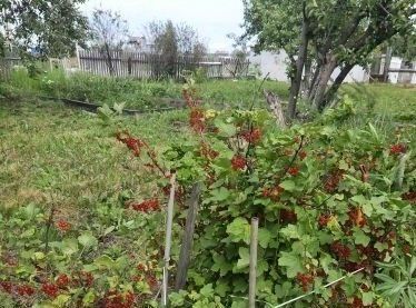 дом г Челябинск р-н Ленинский снт Станкостроитель 1 ул 22-я 155 фото 11