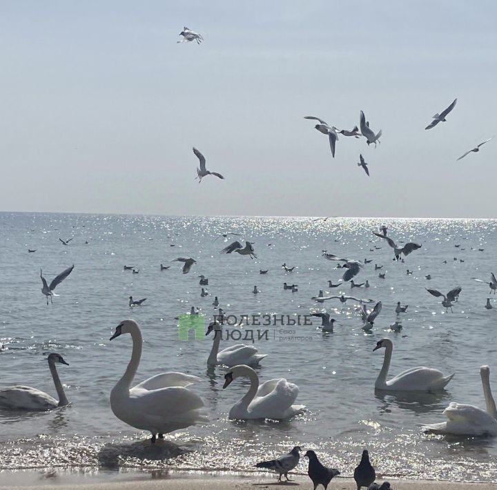 квартира г Саки ул Морская 2 фото 10