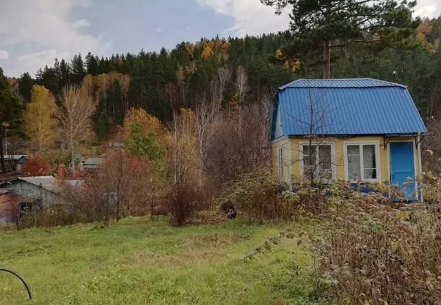 рп Майна снт Большой Карак садоводческое товарищество фото