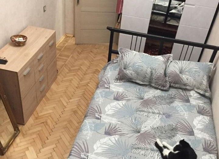 комната г Пушкин метро Купчино ул Железнодорожная 12 фото 5