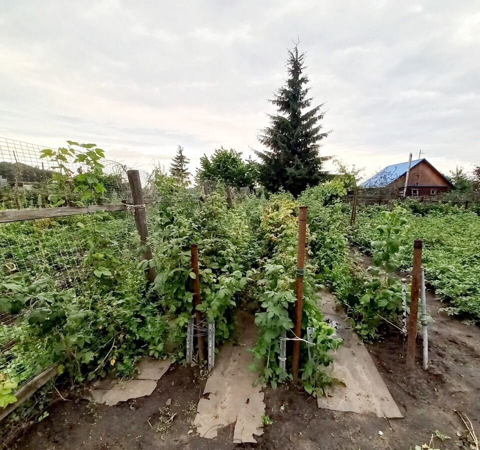 дом г Омск р-н Ленинский тер.СОСН Птицевод фото 5