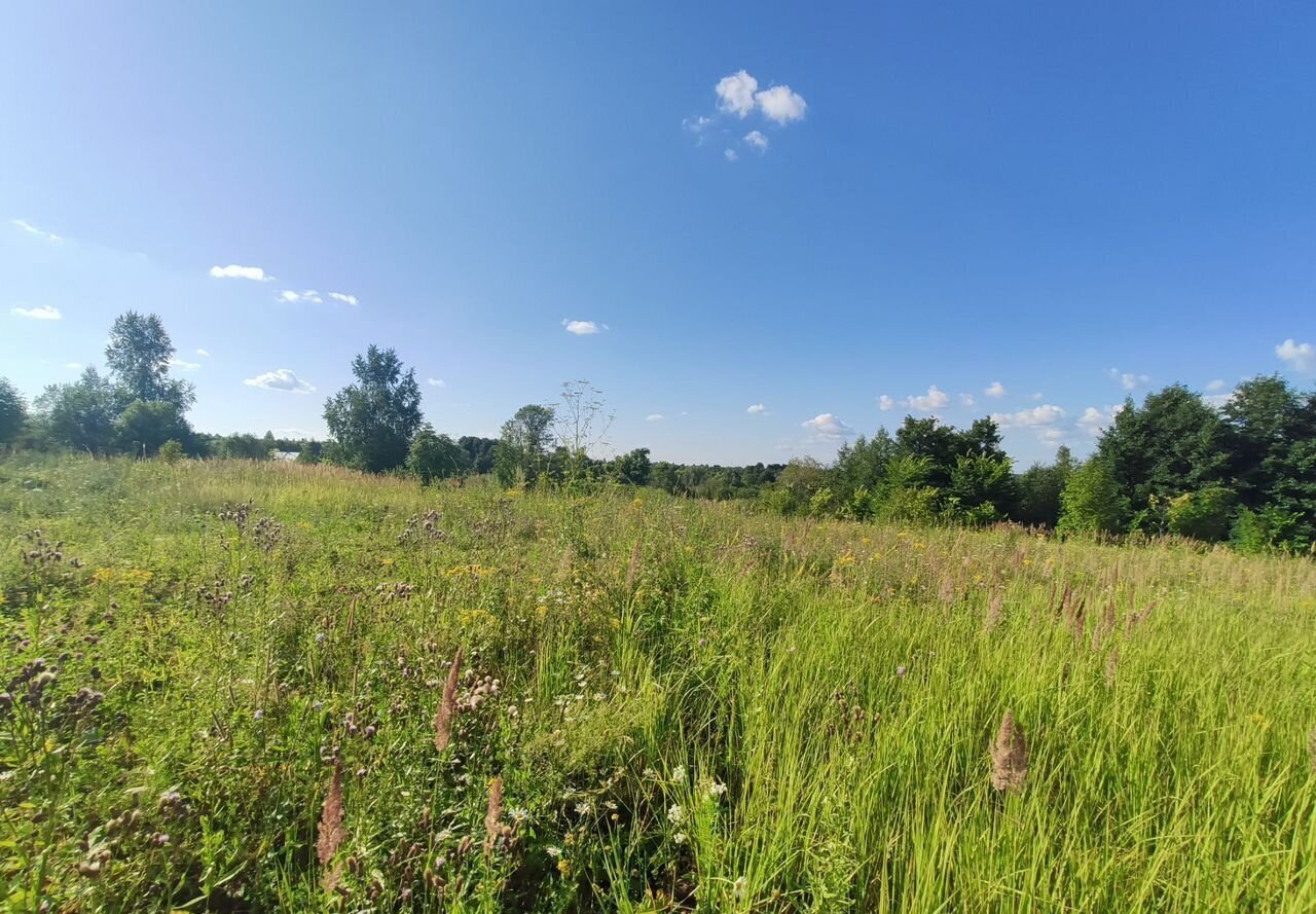 земля р-н Благовещенский г Благовещенск ул Сельская 60 фото 2