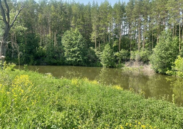 земля р-н Советский фото