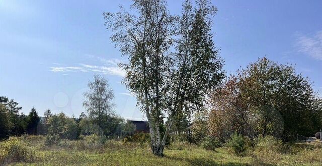 ул Лытина фото