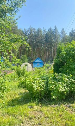 снт Спутник Асбестовский муниципальный округ, садоводческое товарищество фото