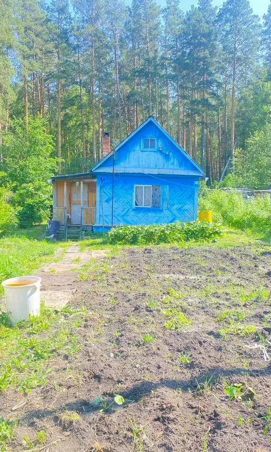 земля г Асбест снт Спутник Асбестовский муниципальный округ, садоводческое товарищество фото 4