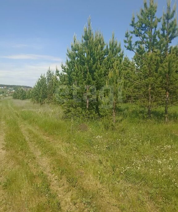 земля г Миасс п Новотагилка Миасский городской округ фото 2